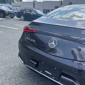 CLE 300 Rear Shot